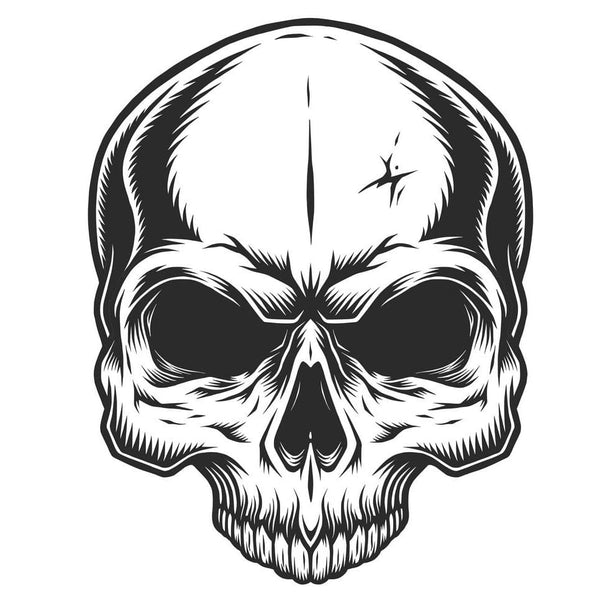 Half Skull Stencil - Khameleon Kickz